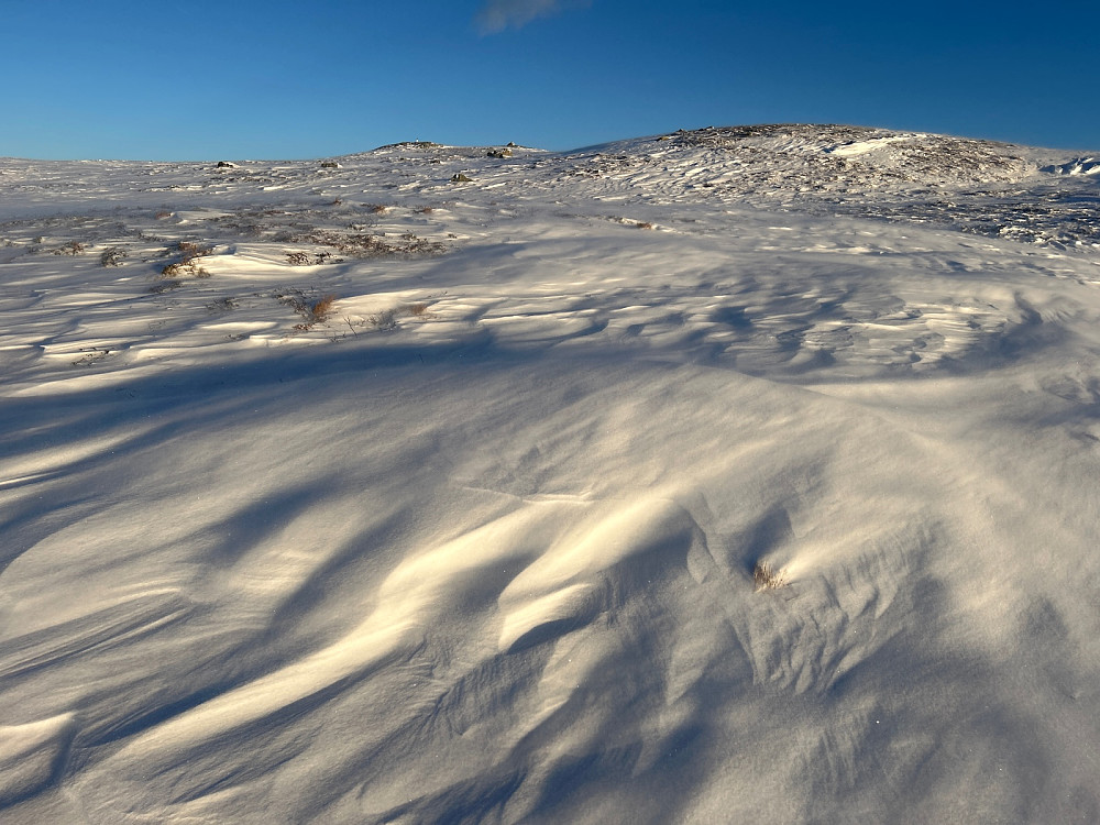 Bildet er ikke uklart, men det blåser rett før toppvarden på Raudalsfjellet.