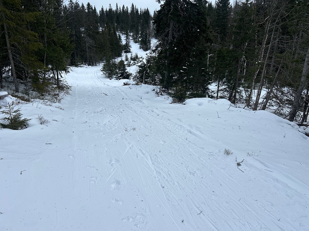 På vei opp mot Bislingflaka hadde det kjørt en snøskuter så det var ganske bra å gå her.