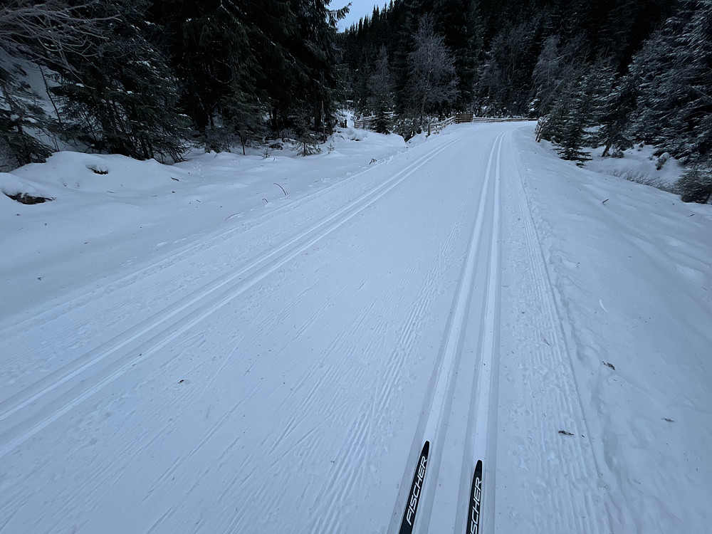 Veldig gode skispor nede ved Mylla.