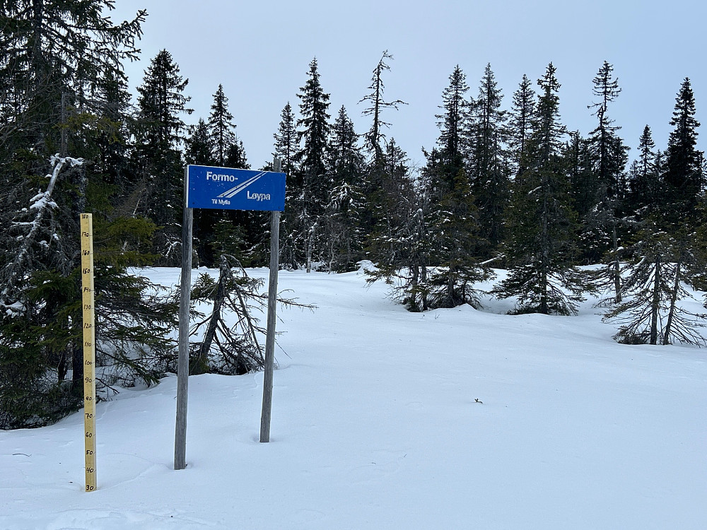 30 cm snødybde i terrenget her ved Venehaugane.