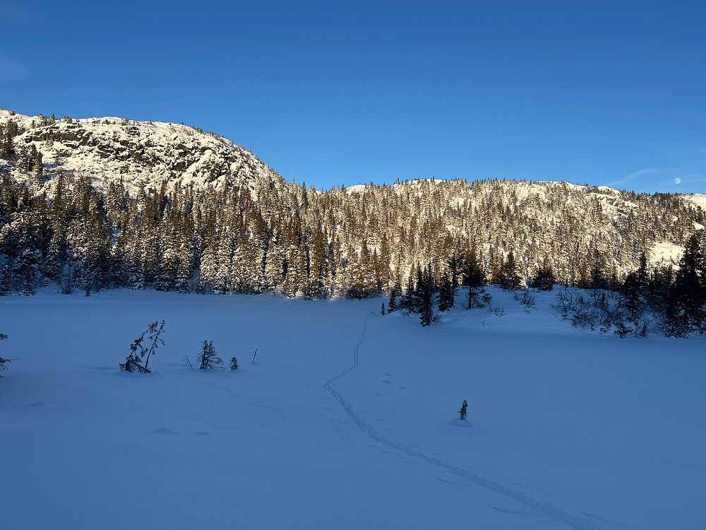Her har jeg kommet meg litt til hektene igjen etter å ha kjørt ned skogen i bakgrunnen.