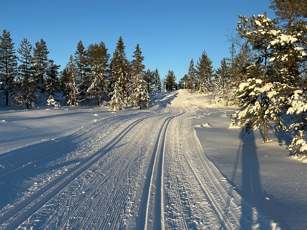 Bare noen få meter opp til toppen av Skimten i veldig fine løyper.