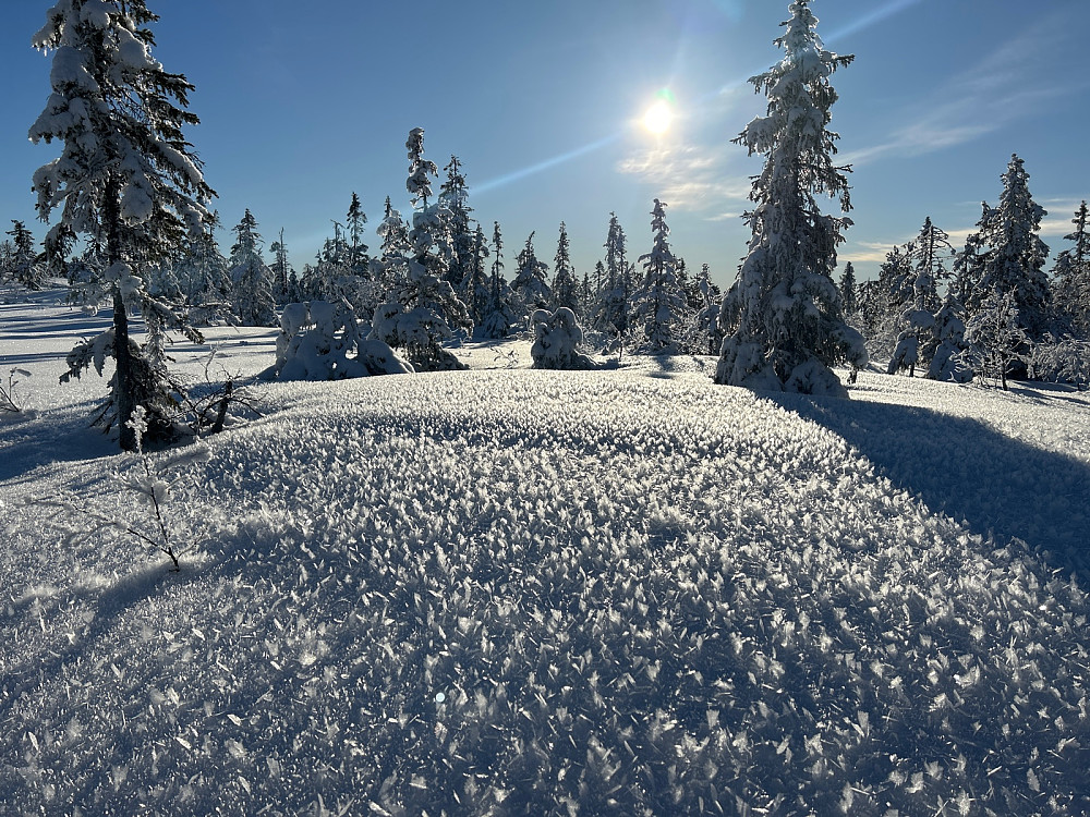 Rett oppunder Lauvkollen var disse iskrystallene i snøen fascinerende å se på på.