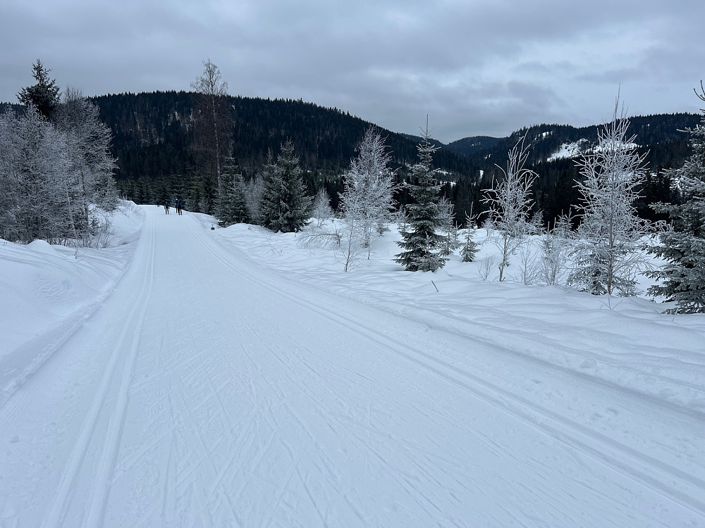 Fine løyper fra Skansebakken og god glid.