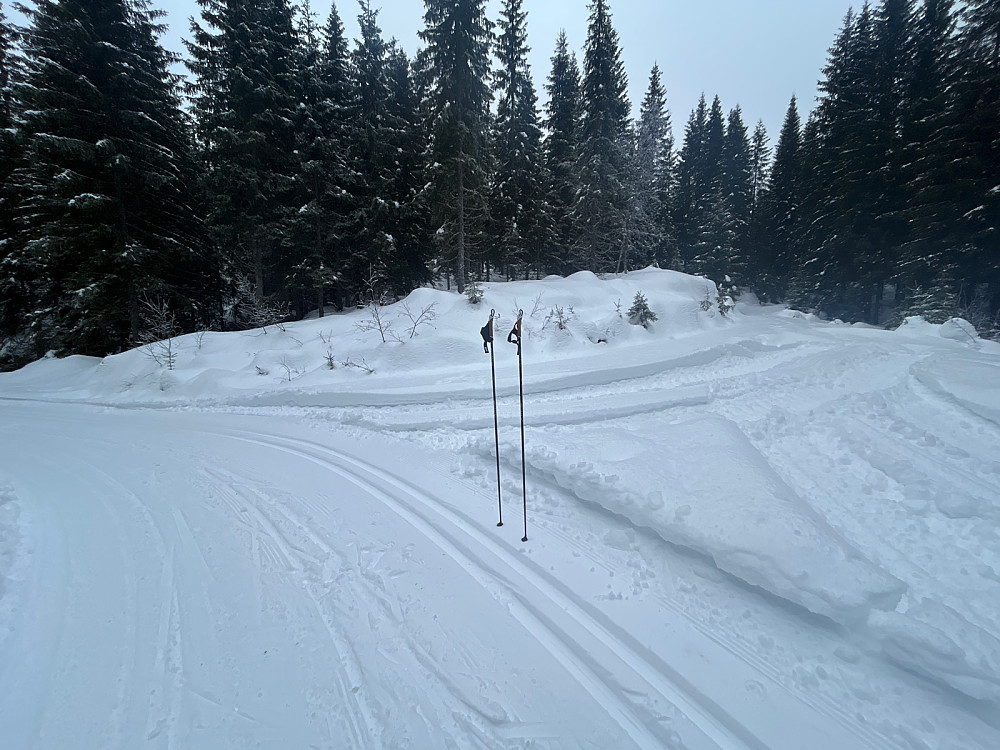 Opp hit til cirka 470 moh gikk jeg i preparerte spor og med god glid. Jeg ville opp på Kjerkeberget, og turen videre dit gikk overraskende bra på skifeller selv om langrennsstavene hadde veldig små trinser. Løypa videre måtte jeg tråkke selv, og gikk til høyre inn i bildet hvor jeg fulgte en sommersti et lite stykke.
