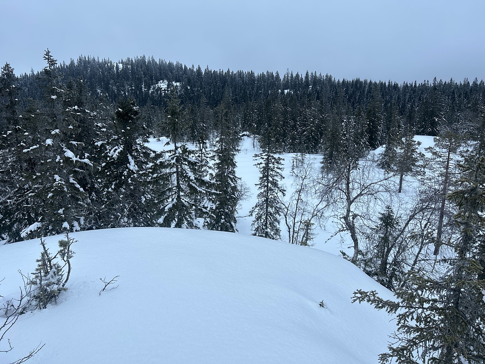 Her har jeg kommet meg opp på Høgåsen Vest med utsikt til Kjerkeberget litt til venstre i bildet.