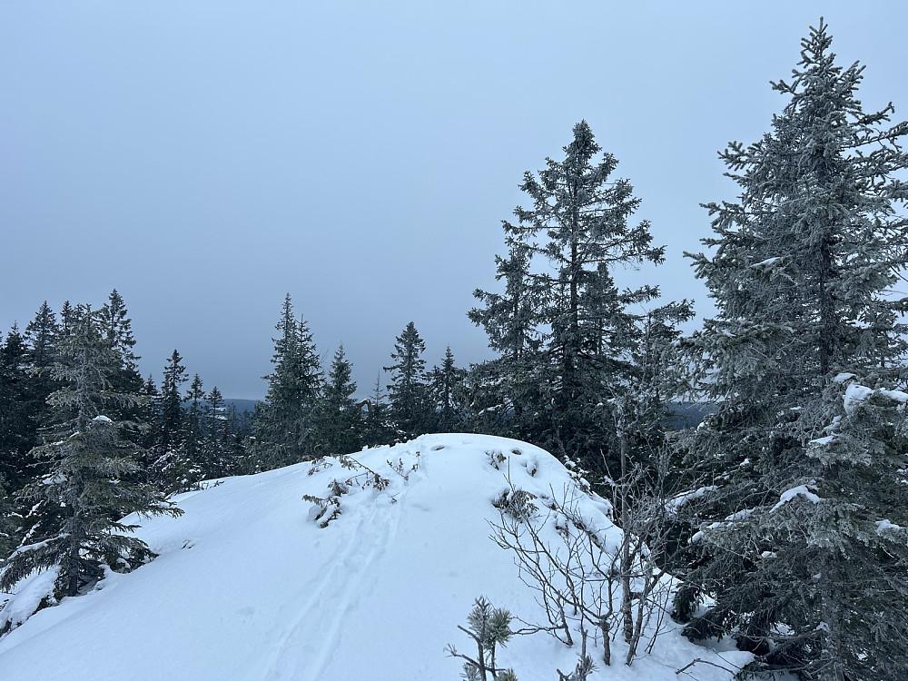Høgåsen Vest, 576 moh.