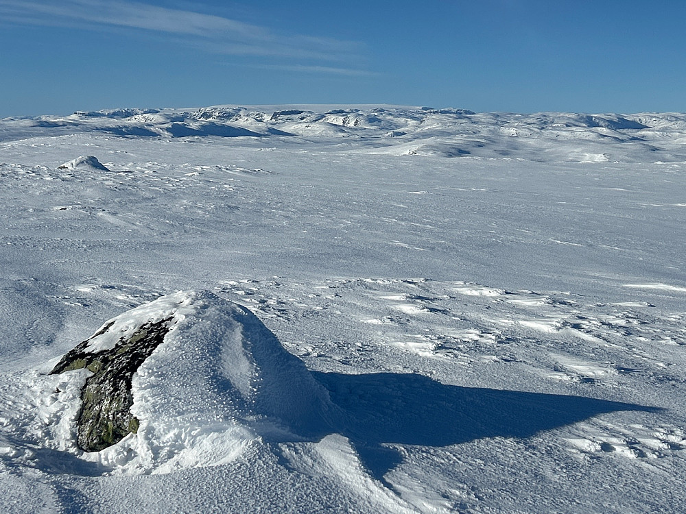 Flatt toppområde på Krækkjahæe.