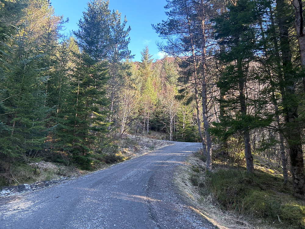 En del grusveitrasking i starten.