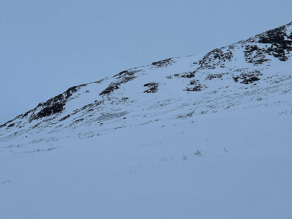 Her sklir jeg nedover og ser opp draget med snø omtrent midt i bildet jeg gikk tidligere på turen for å komme på Bjøbergnuten.