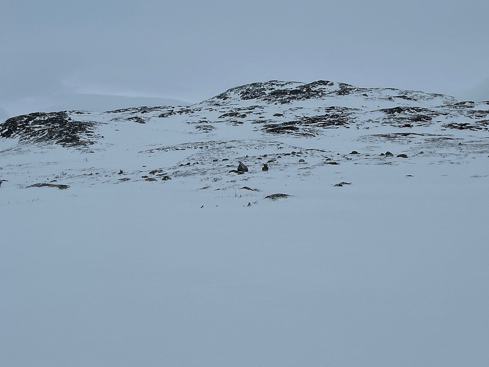 Frem til her jeg tok bildet hadde det fungert bra med blå voks under skiene, men herfra tok jeg på skifeller og fulgte draget med snø til venstre i bildet og til toppen av Hestebottfjellet.