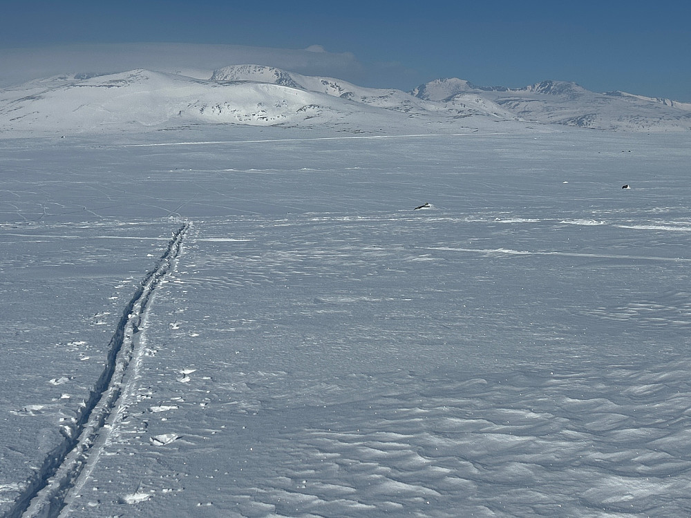 Skisporene mine og tilbakeblikk mot Gjendealpene.