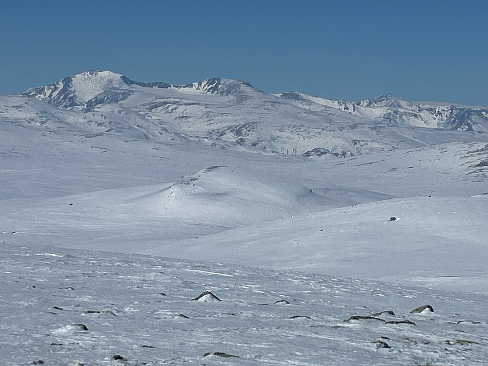 Det ser ikke som ryggen opp til Høgdebrotet er noe gøy på ski i år hvis det ikke kommer betydelig mer snø.