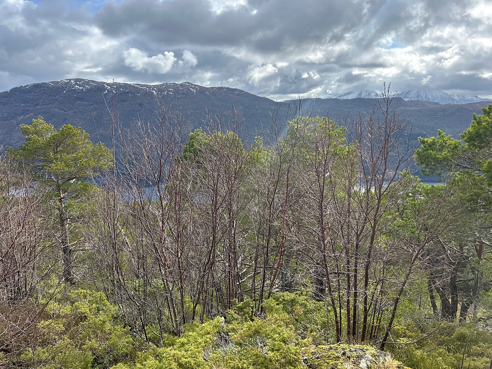Vasstrandfjellet til venstre og litt av Sunnmørsalpene til høyre.