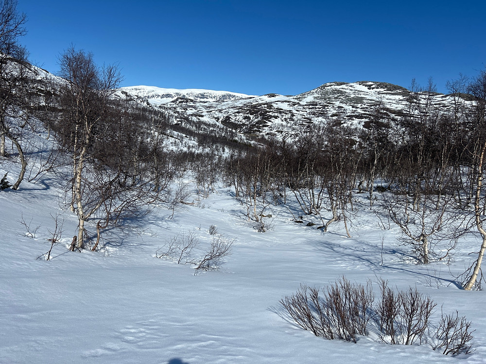 Her var det på tide å legge på skifellene. Det var ganske bratt herfra.