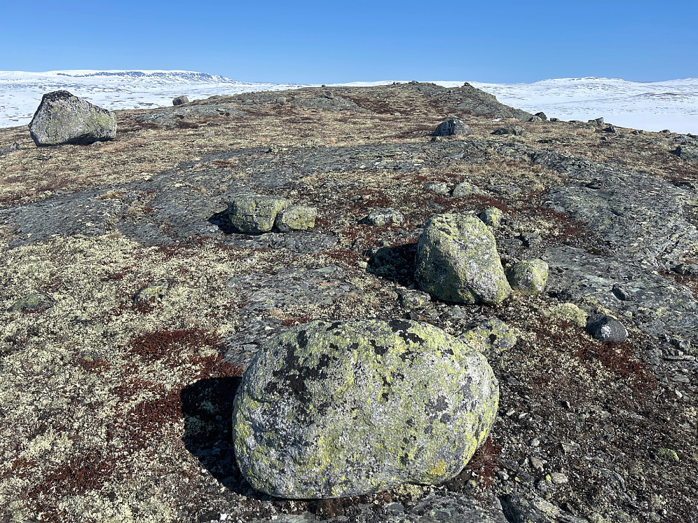 Toppområdet på Storholmnuten er ganske flatt. Selve toppunktet og varden ligger litt lenger bak i bildet, cirka 20 meter fra her jeg tok dette bildet.