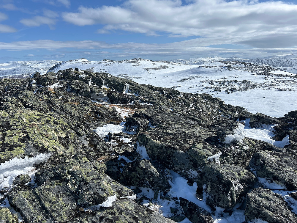 Her trodde jeg at jeg var til topps på Søtelifjellet, men så oppdaget jeg at toppen av Søtelifjellet på 1594 moh var veldig langt borte. Men jeg feilbedømte avstanden; det tok meg knapt 20 minutter bort til hovedtoppen omtrent midt i bildet.