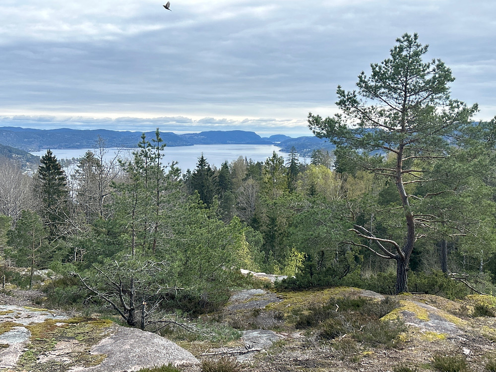 Ut Drammensfjorden.