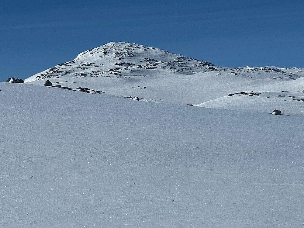 Skorpetinden på 1705 moh så fin ut herfra. Jeg gikk mot høyre i bildet og la på feller før jeg gikk oppover til toppen litt på baksiden av ryggen. Det var ikke så steinete som det ser ut på bildet.