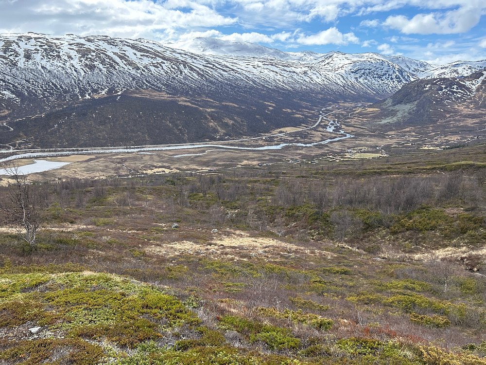 Lite snø på østsiden av Hemsedal hvor vi gikk.
