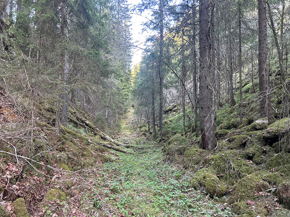 Trangt i Styggedalen, men jeg syntes det var mer trollsk en stygt.
