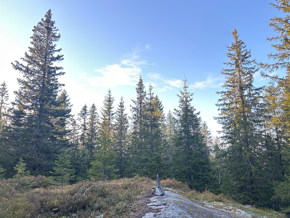 Toppunktet på Granberget med en fin liten varde. Trenger jo ikke noe større.