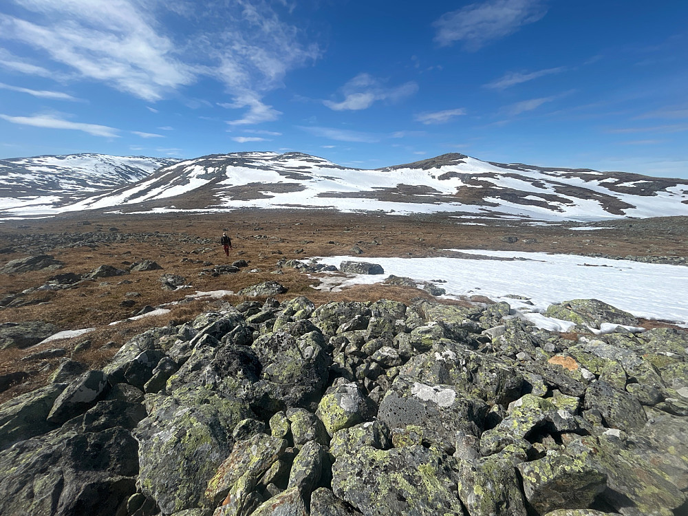 Tilbakeblikk mot "Øst for Reinsbottvatnet" - 1505moh, hvor det fortsatt er mye snø i østhellingene.