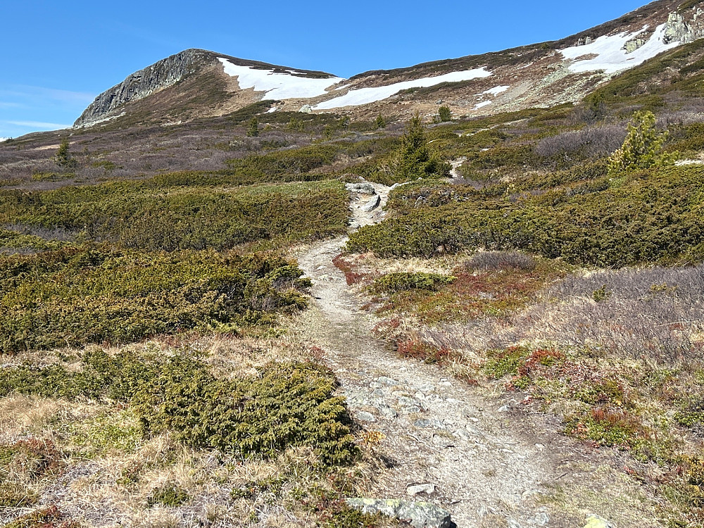 Syningen på 1220 moh er toppen som ses på bildet. Hallingdølene har litt dårlig fantasi, så de bruker samme navn på flere topper, eller så er det for å forvirre utenbygds folk. Vi klarte å finne en passasje oppover uten å vasse i snøen.