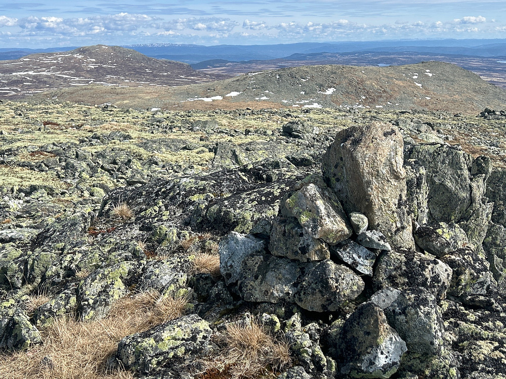 Utsikt fra "Øst for Reinsbottvatnet" - 1505moh, mot Svaraberget nærmest og Grytingen litt ute til venstre.