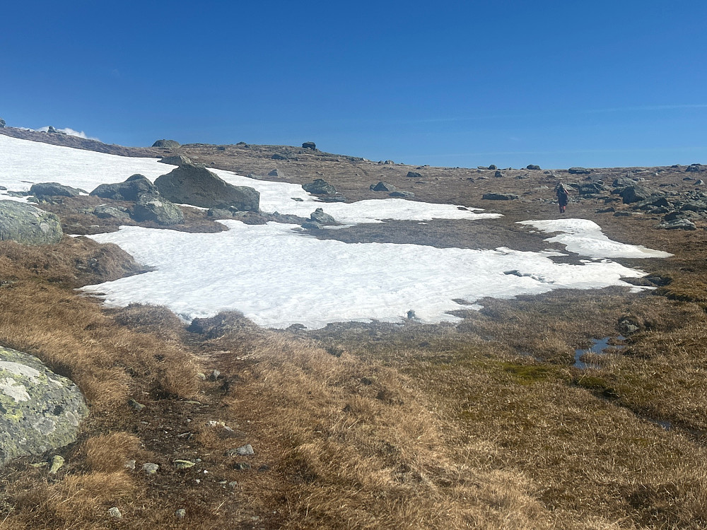 I den lille «dalen» på cirka 1430 moh var det fortsatt noe snø som hadde overlevd det varme vårværet.