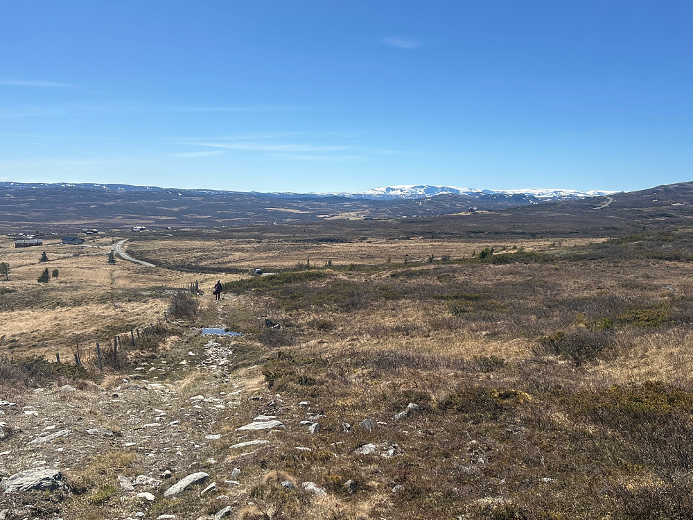 Siste bit av stien ned til Lyavegen hvor bilen min kan skimtes. Hallingskarvet i bakgrunnen.