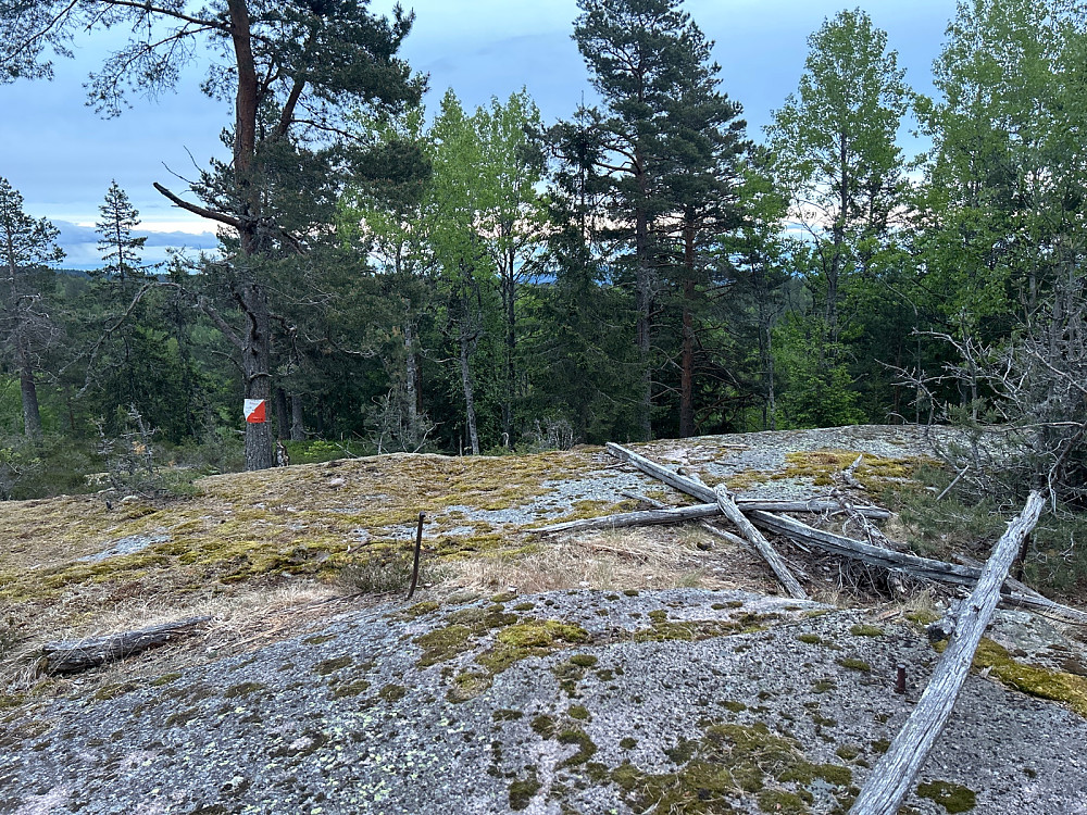 Toppunktet på Reistadåsen.