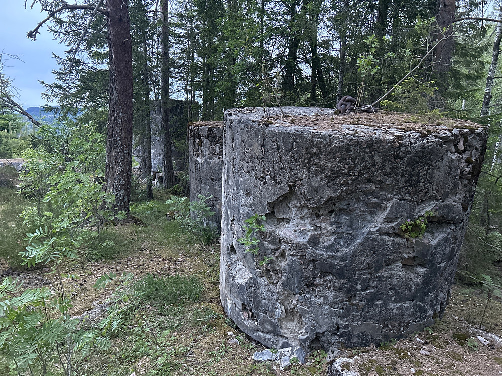 Tre av loddene på Skakkleivåsen.
