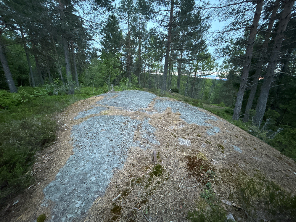 Triggpunktet på Skakkleivåsen som ikke er høyeste punkt på Skakkleivåsen; det er cirka 40 meter lenger øst.