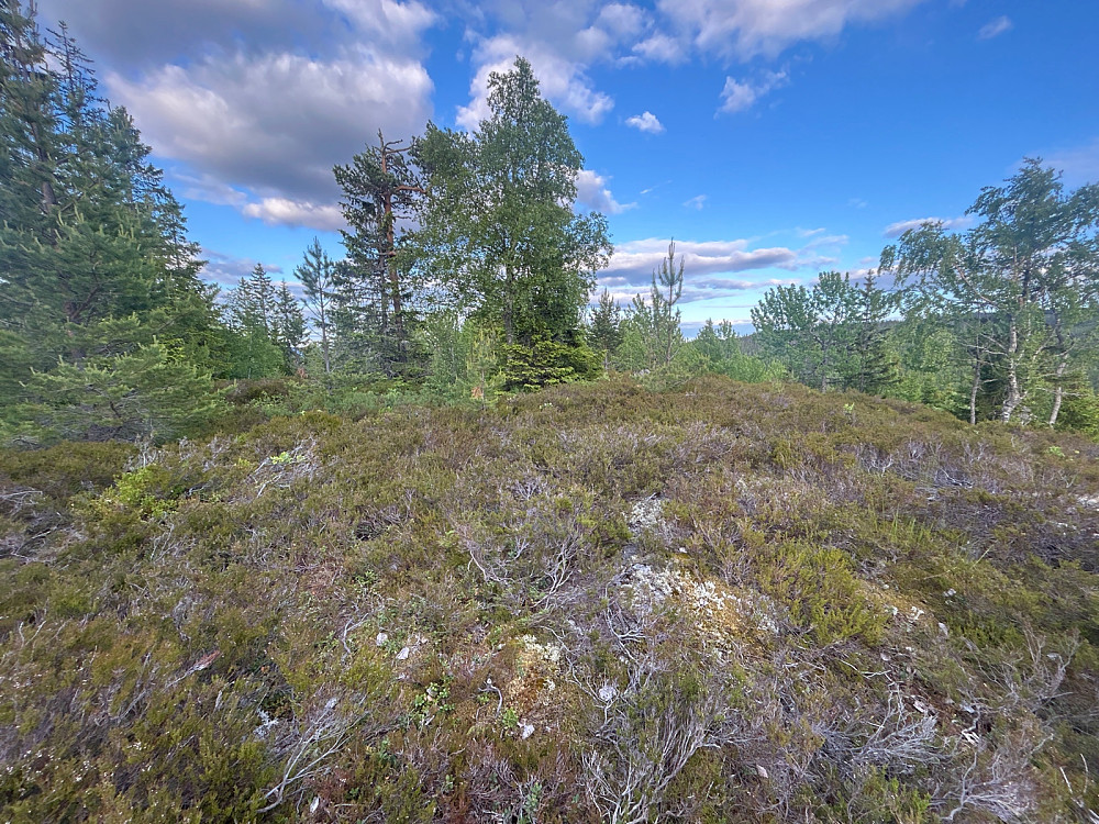 Toppen av Åstelja.