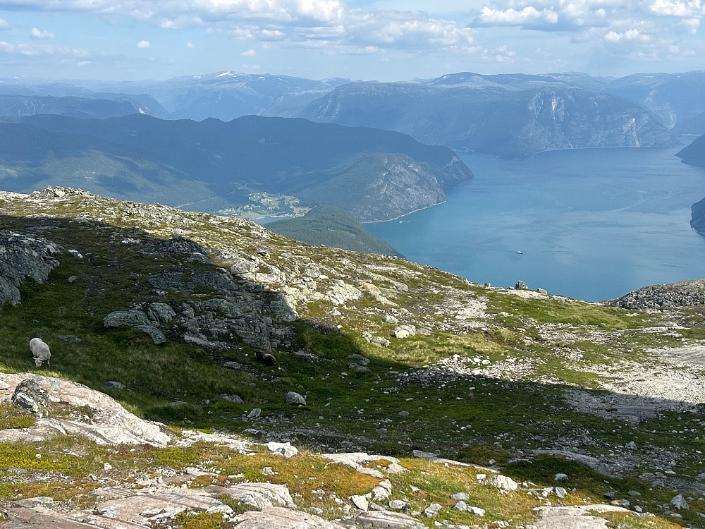 Kaupanger og Amlaholten omtrendt midt i bildet og Lustrafjorden innover til venstre.