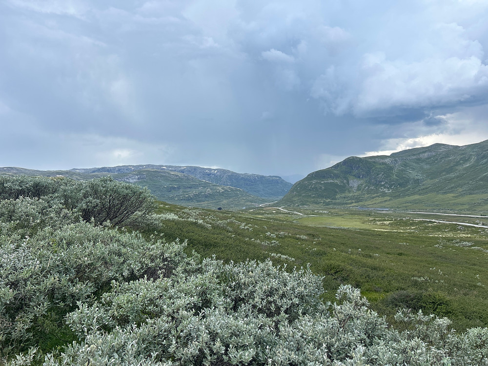 Regn- og tordensky ned mot Borlaug. Det så mye verre ut i virkeligheten enn det bildet kan formidle.