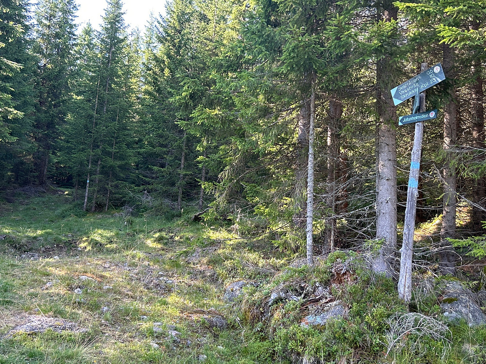 Her går Jotunheimstien.
