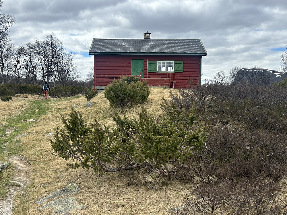 Halstjønnsetre.