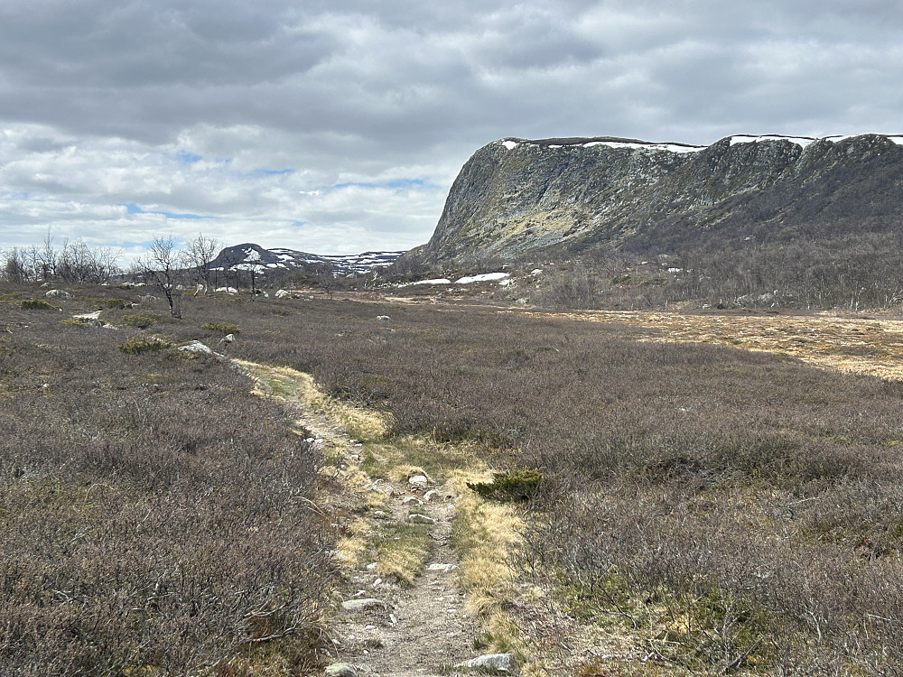 Bratte Lågliberget til høyre.