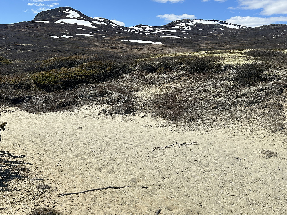 Heinberget som er dagens toppturmål er den flate ryggen til høyre i bildet.