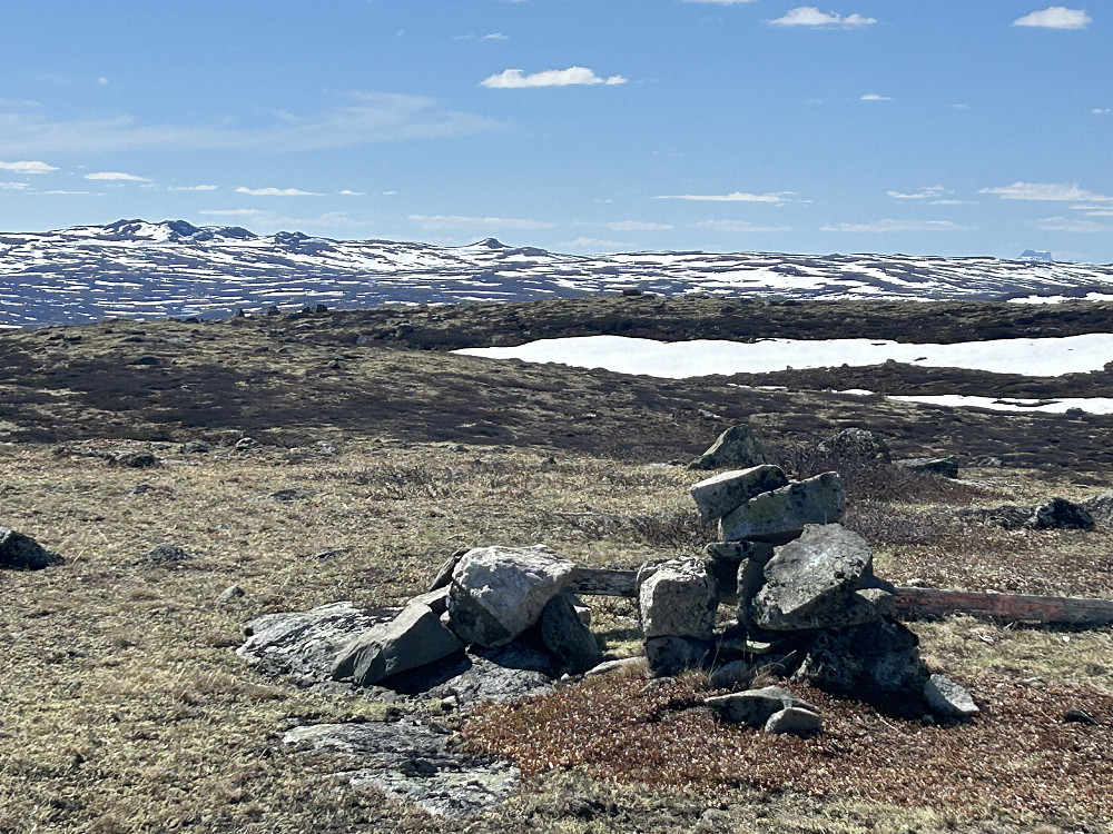 Toppvarden på Heinberget med Hårteigen ute til høyre i bildet.