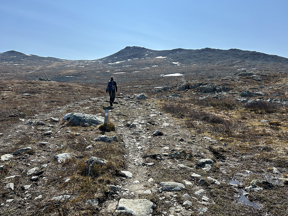 Kriss i godt driv på god sti mot Harahorn midt i bildet.