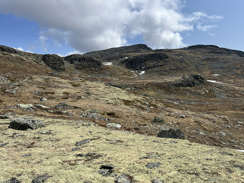 Fint terreng å gå i oppover mot Fossebrea. Så fint at det også ble en lengre lunsjpause her. 