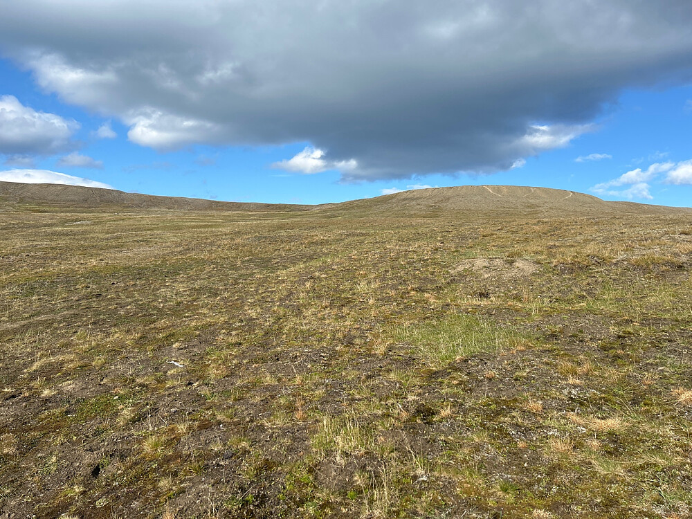 Avstander var litt vanskelig å vurdere, men det var bare få minutters gange bort til stien mot toppen litt til høyre i bildet.
