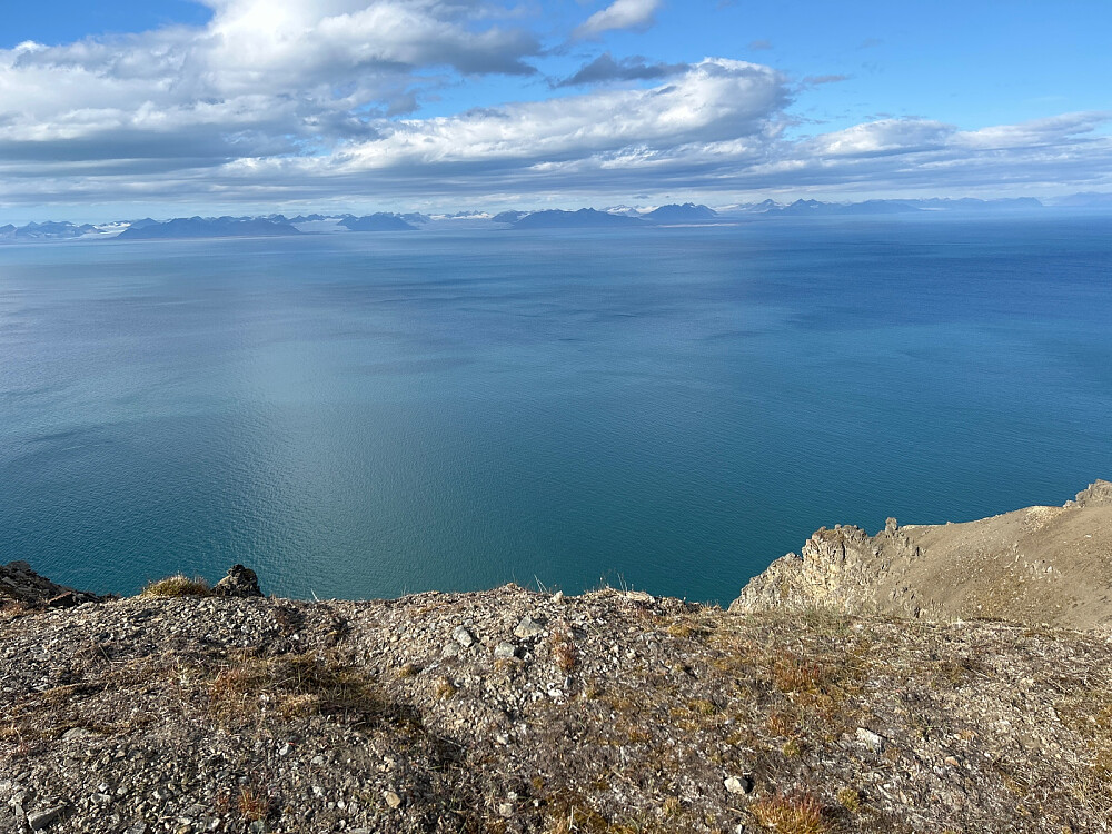 Utsikten fra Fuglefjella over en blågrønn fjord til de alpine fjellene på den andre siden av Isfjorden var turens høydepunkt for meg.