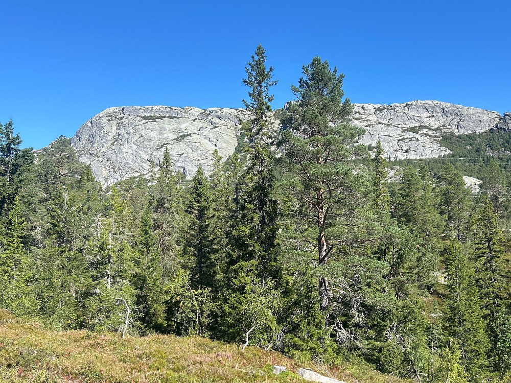 Toppområdet på Himingen.