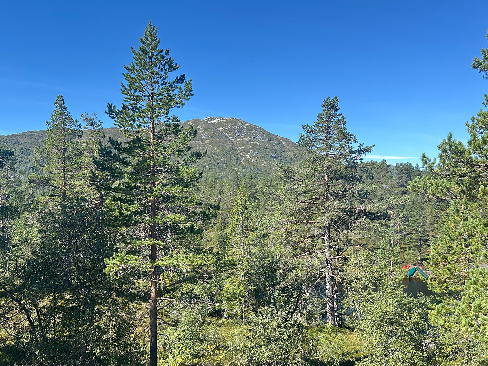 Slettefjell som vi skal gå på.