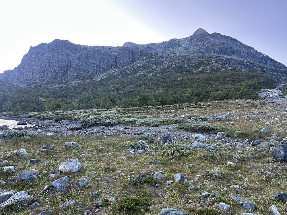 Mot Skurvefjell på returen.