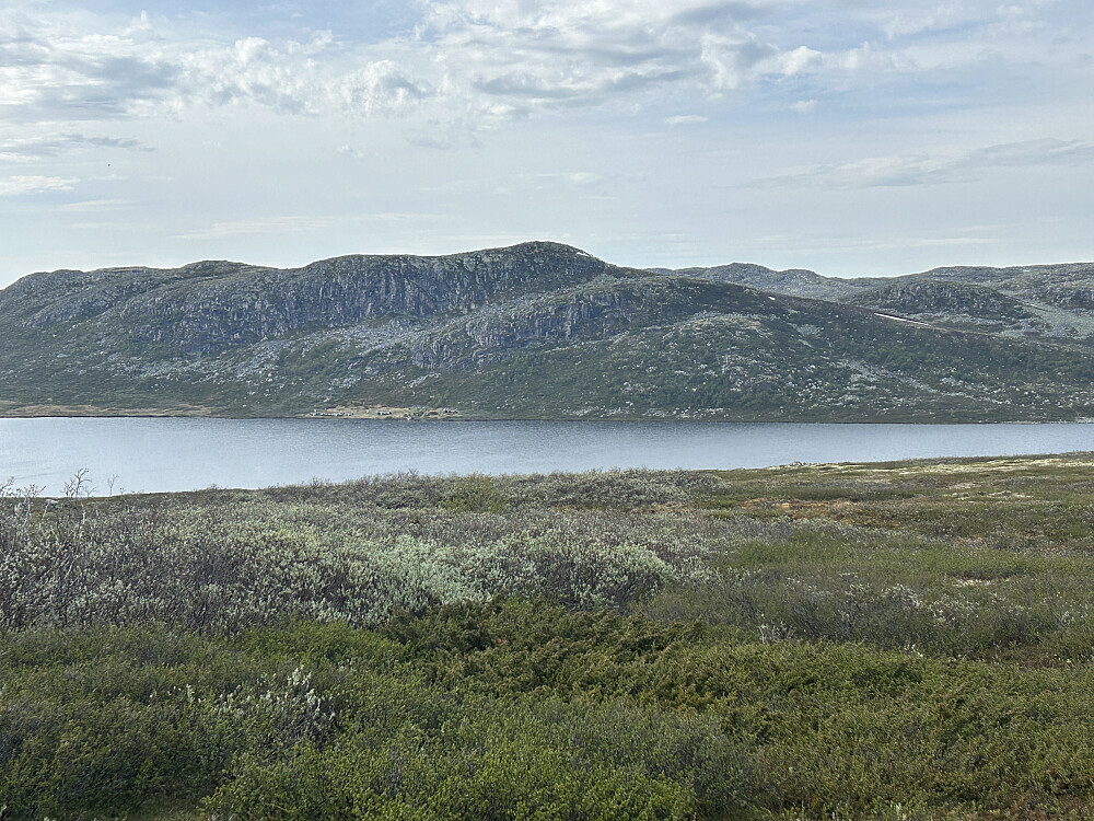 Utsikt nordover over Skarvsvannet. 